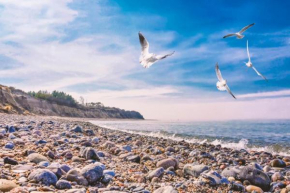 Bungalow SONNE UND MEER direkt am Strand Dranske